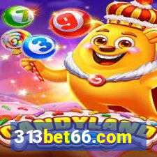 313bet66.com