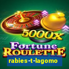 rabies-t-lagomorph