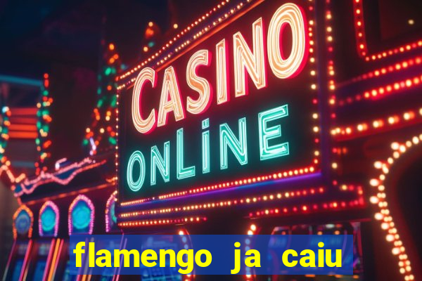 flamengo ja caiu para serie b