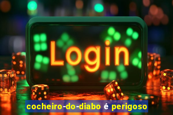 cocheiro-do-diabo é perigoso