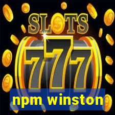 npm winston