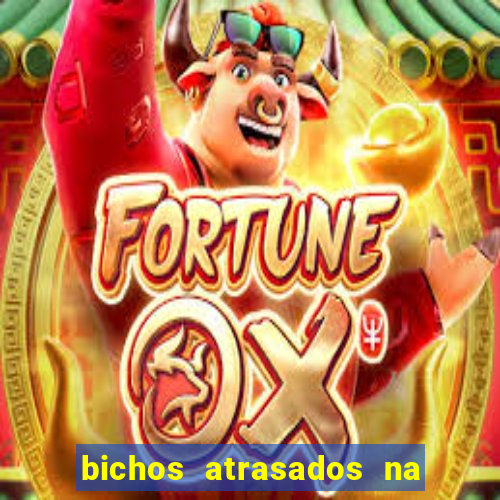 bichos atrasados na loteria federal