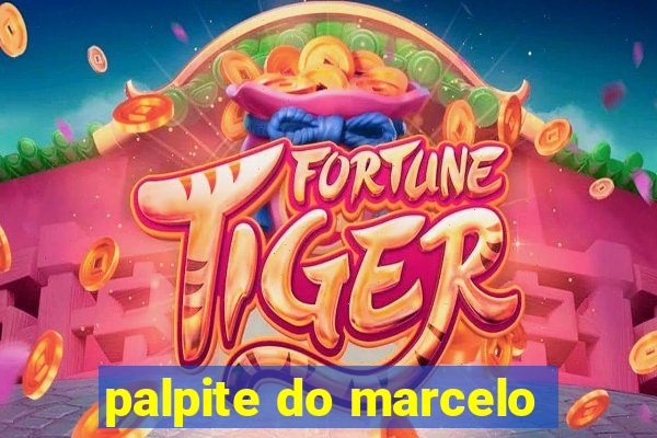 palpite do marcelo
