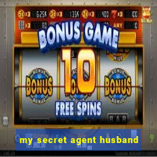 my secret agent husband