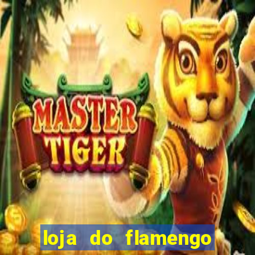 loja do flamengo taguatinga shopping