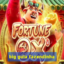 big gula fazendinha