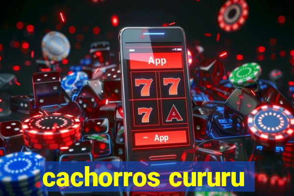 cachorros cururu