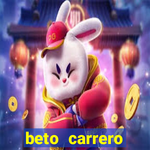 beto carrero cidades proximas