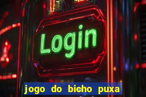 jogo do bicho puxa de dona maria